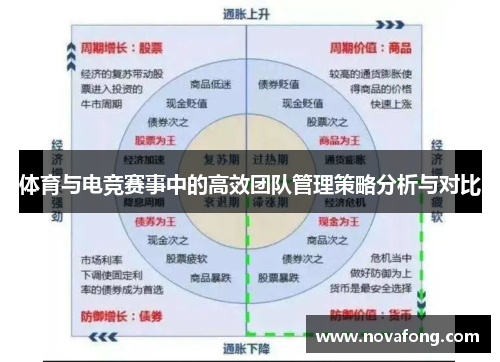 体育与电竞赛事中的高效团队管理策略分析与对比