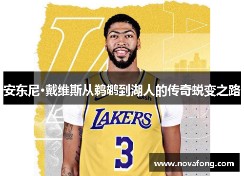 安东尼·戴维斯从鹈鹕到湖人的传奇蜕变之路 安东尼·戴维斯从鹈鹕到湖人的传奇蜕变之路